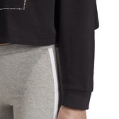 adidas Originals Crop Hoodie Sweatshirt Vrouw Zwarte 34