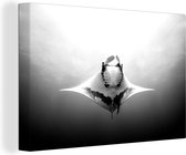 Canvas Schilderij Onderaanzicht mantarog in de oceaan - zwart wit - 30x20 cm - Wanddecoratie