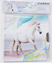 Paarden dagboek - wit paard op strand - dagboek met sleuteltjes