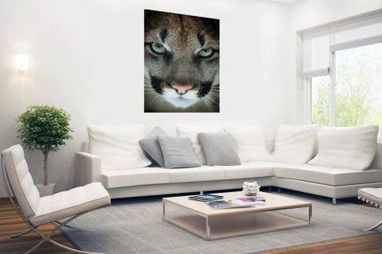 Poster Cougar gros plan 120x180 cm - Tirage photo sur Poster (décoration murale salon / chambre) / Poster Animaux XXL / Groot format!