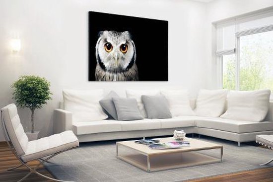 Gros plan chouette Aluminium 90x60 cm - Tirage photo sur aluminium (décoration murale métal)