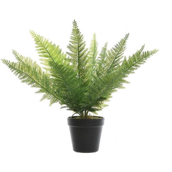 Set van 4 kunstplanten in pot, nepplant voor stijlvol interieur, plastic plant in natuurgetrouwe look, decoratieve planten voor bureau, kleine kunstplant, onderhoudsvriendelijk en duurzaam Set van 4 kunstplanten in pot, nepplant voor stijlvol interieur, plastic plant in natuurgetrouwe look, decoratieve planten voor bureau, kleine kunstplant, onderhoudsvriendelijk en duurzaam