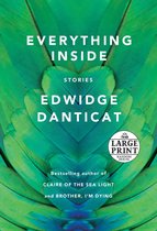Everything Inside
