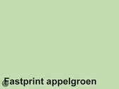 Kopieerpapier Fastprint A3 120gr appelgroen 250vel