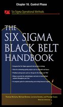 The Six Sigma Black Belt Handbook, Chapter 16 - Control Phase
