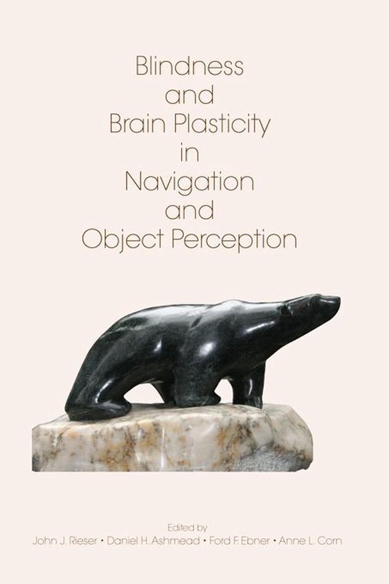 Blindness and Brain Plasticity in Navigation and Object Perc ... - cover