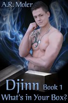 Djinn 1 - Djinn Book 1: What's in Your Box?