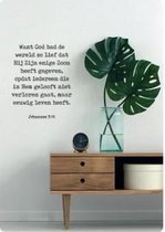 Kaart - A6 - 10x15cm - Met envelop - Want God had de wereld zo lief - Christelijke kaart - Majestic Ally - 6 stuks