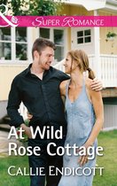 Montana Skies 2 - At Wild Rose Cottage (Mills & Boon Superromance) (Montana Skies, Book 2)