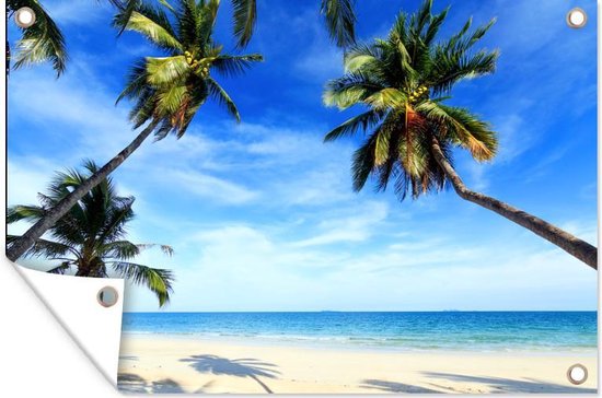 Download Strand thema deur decoraties For iPhone