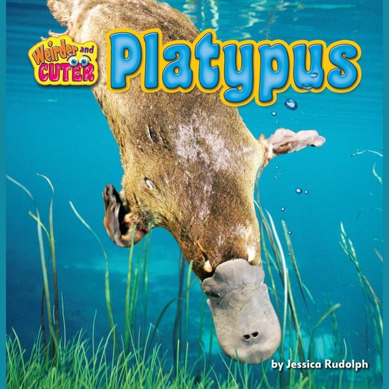 Platypus - cover
