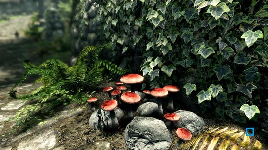 Skyrim - Nintendo Switch
