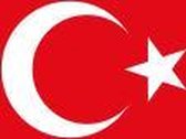 Vlag Turkije 30x45cm