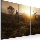 Schilderijen Op Canvas - Schilderij - Foggy Field I 120x80 - Artgeist Schilderij
