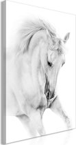 Schilderijen Op Canvas - Schilderij - White Horse (1 Part) Vertical 80x120 - Artgeist Schilderij