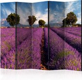 Kamerscherm - Scheidingswand - Vouwscherm - Lavender field in Provence, France II [Room Dividers] 225x172 - Artgeist Vouwscherm
