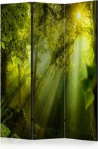 Kamerscherm - Scheidingswand - Vouwscherm -  In a Secret Forest II [Room Dividers] 135x172 - Artgeist Vouwscherm