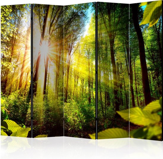 Foto: Kamerscherm scheidingswand vouwscherm forest hideout ii room dividers 225x172 artgeist vouwscherm