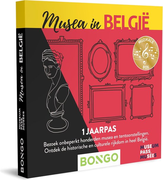 Bongo - Musea in Cadeaubon - Cadeaukaart cadeau voor man vrouw | 170... | bol.com