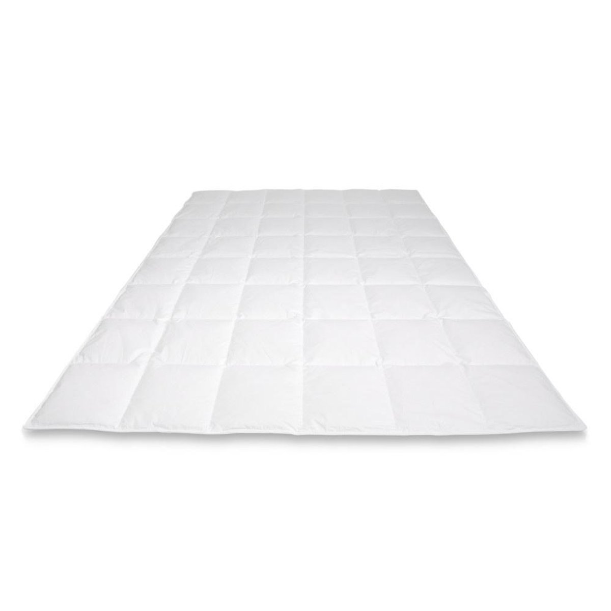 Cassenz VAN GOGH | donzen dekbed | 90% ganzendons | Zomer | warmteklasse 4 - 200/200cm - 370g 8x8