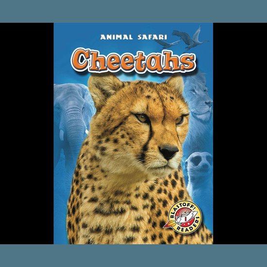 Cheetahs - cover