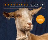 Beautiful Animals - Beautiful Goats