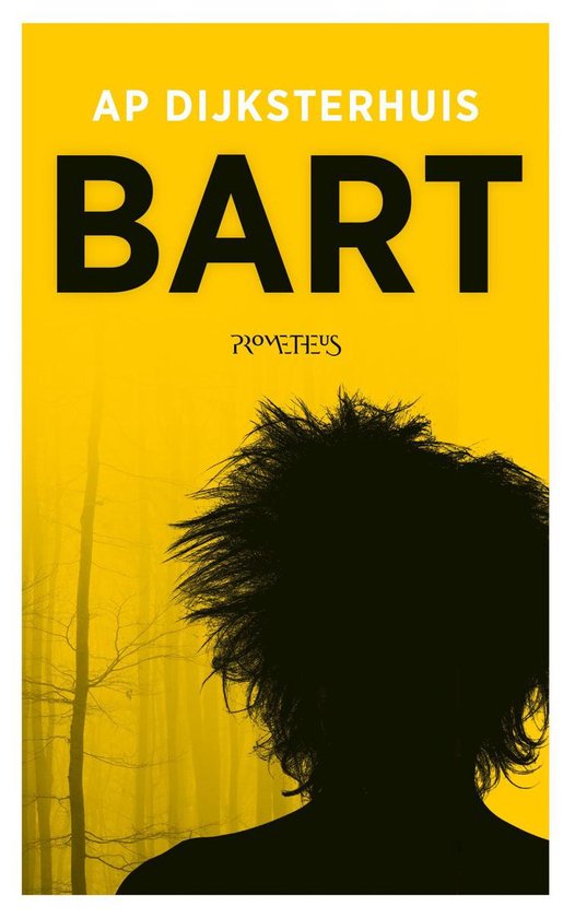 Boek 'Bart' van AP DIJKSTERHUIS, met gele achtergrond, silhouet van een persoon met warrig haar, met bomen op de achtergrond.