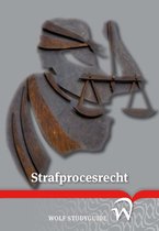 Strafprocesrecht