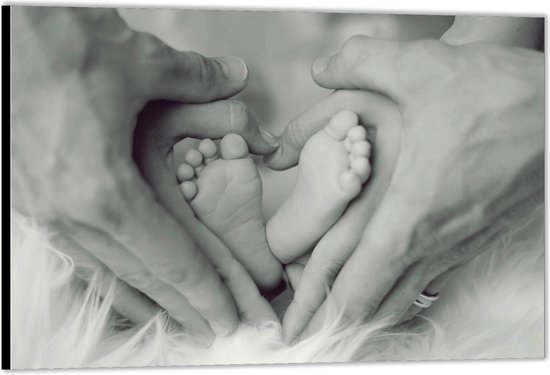 Dibond –Voeten van Baby in Handen van Ouders-90x60 Foto op Aluminium (Met ophangsysteem)
