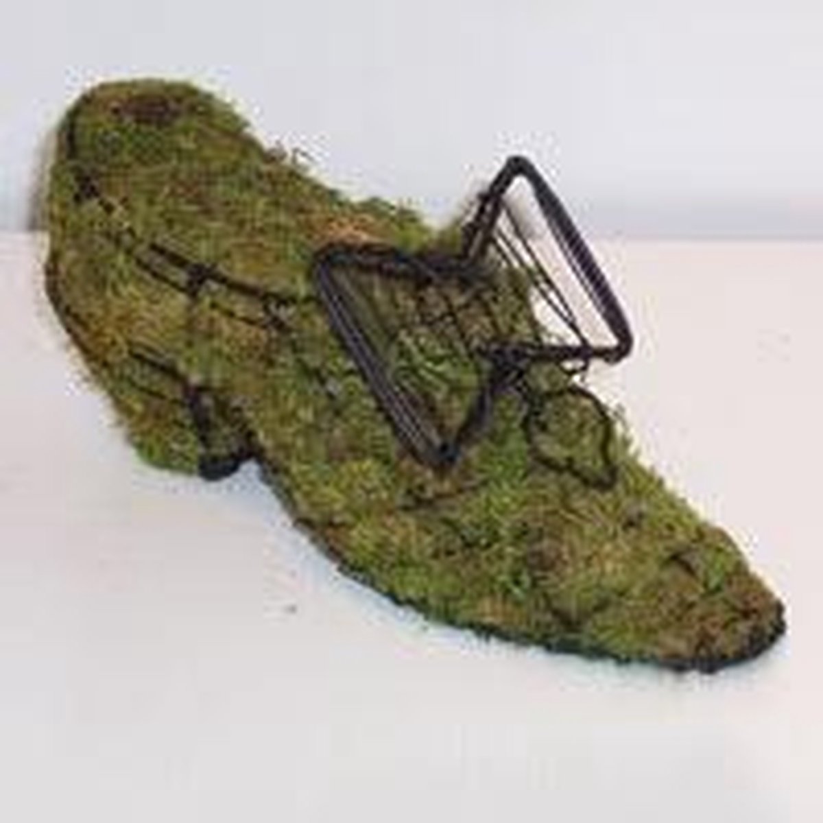 Schoen - Mos