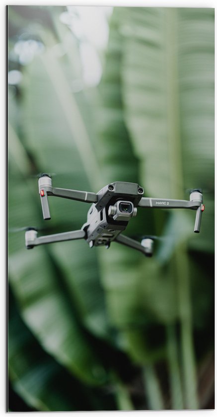 Dibond - Drone Vliegend tussen de Groene Palmbladeren - 50x100 cm Foto op Aluminium (Met Ophangsysteem)