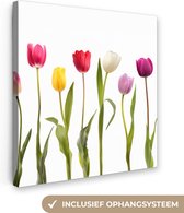 Tableau sur toile Tulipes - Fleurs - Wit - Nature morte - 90x90 cm - Décoration murale