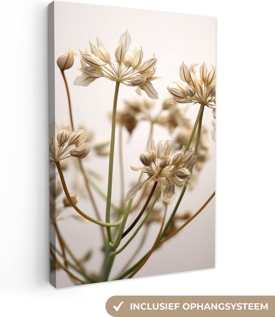 Canvas Schilderij Droogbloemen - Beige - Wit - Planten - 40x60 cm - Wanddecoratie