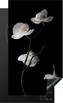 Inductie beschermer - Bloemen - Orchidee - Wit - Stilleven - Inductie kookplaat - Inductie fornuis - Inductie beschermingsmat - 30x52 cm - Keuken decoratie - Inductie protector - Keuken accessoires