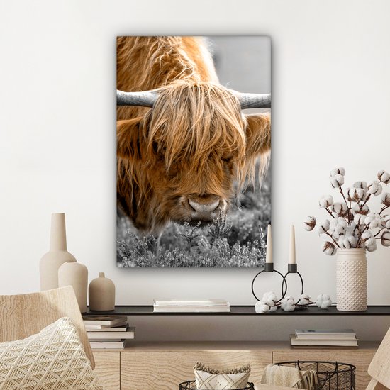 Tableau sur toile Scottish Highlander - Animaux - Marron - Vache - Zwart - Wit - Nature - 40x60 cm - Décoration murale