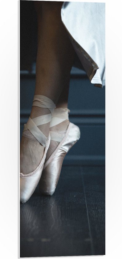 PVC Schuimplaat - Ballerina aan het Dansen op Spitzen - 30x90 cm Foto op PVC Schuimplaat (Met Ophangsysteem)