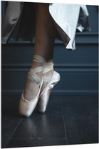 Acrylglas - Ballerina aan het Dansen op Spitzen - 100x150 cm Foto op Acrylglas (Met Ophangsysteem)