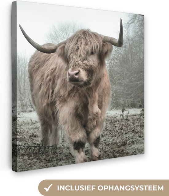 OneMillionCanvasses - Muurdecoratie - Schotse hooglander - Natuur - Herfst - Bos - 20x20 cm - Woonkamer - Slaapkamer - Canvas schilderij koe