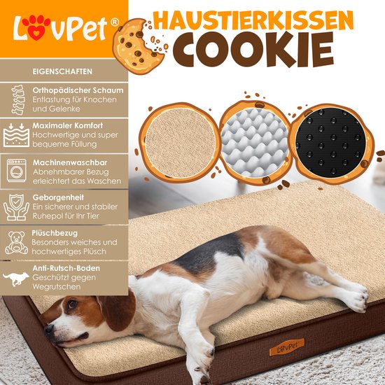 Bol D'os Pour Chiens Sur Fond Orange. Fermer. Accessoires