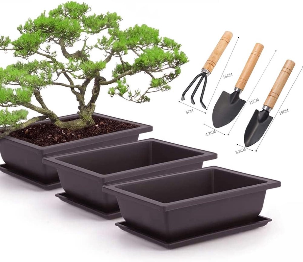 NAMYEUT 10 stuks bonsai trainingspotten 23 x 17 cm, bonsai-potten met onderzetter, plastic bloempot bonsai bonsai plantenpot voor woonkamer kantoor tuin