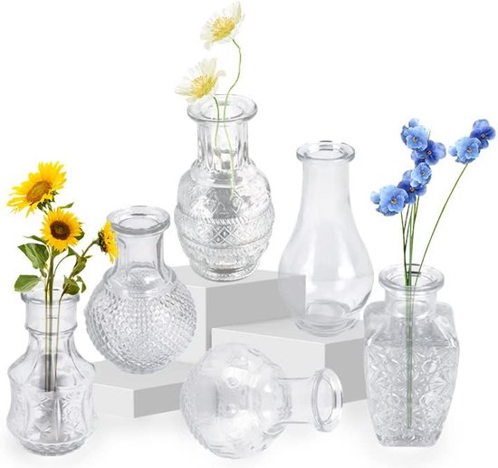 Kleine vazen voor tafeldecoratie, kleine vazen, set van 6, mini-vaas, glas, bloemenvaas, verschillende maten, modern, smal, glazen vaas, tafeldecoratie voor bloemen, decoratie, woonkamer, badkamer