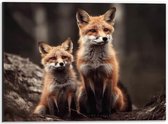Dibond - Moeder vos en kind zitten in een bos - 40x30 cm Foto op Aluminium (Met Ophangsysteem)