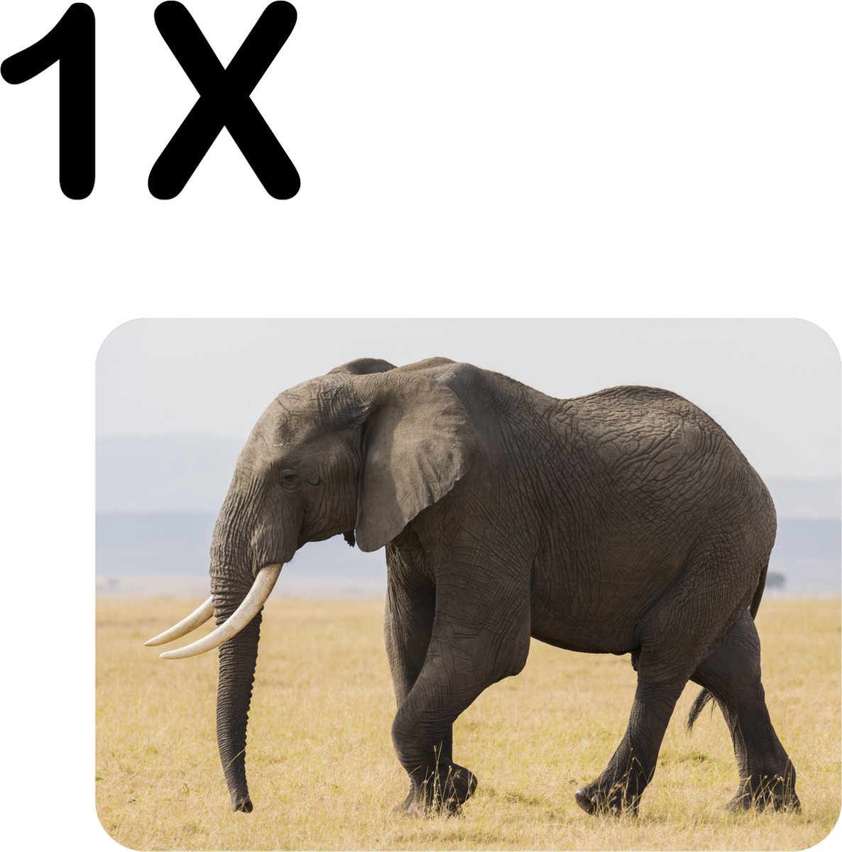 BWK Luxe Placemat - Lopende Olifant in het Wild - Set van 1 Placemats - 40x30 cm - 2 mm dik Vinyl - Anti Slip - Afneembaar