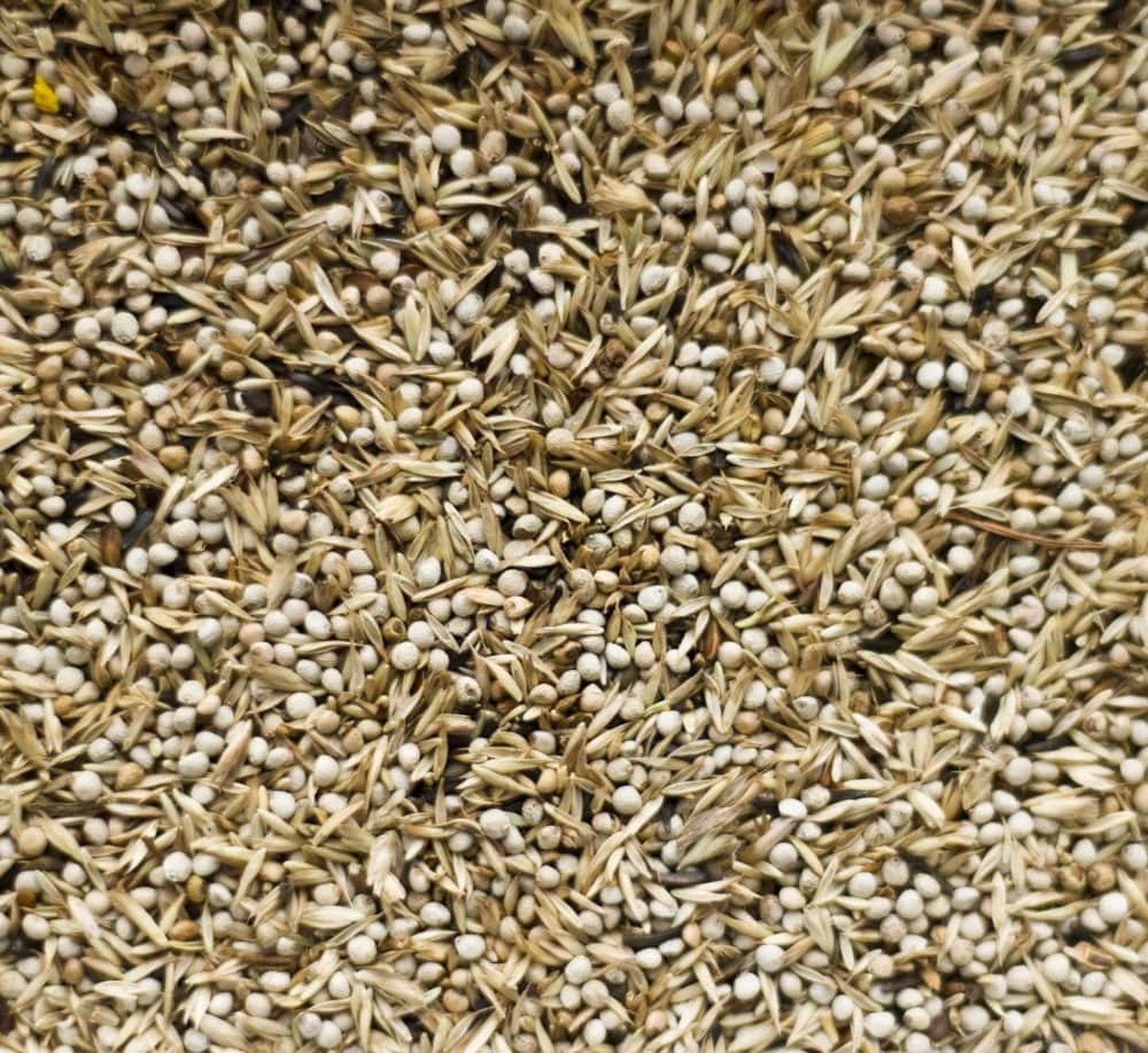Deli Nature 98 - Amerikaanse Sijsjes - Deli Nature 98 - Amerikaanse Sijsjes 2,5 kilo - Vogelzaad - Vogelvoer