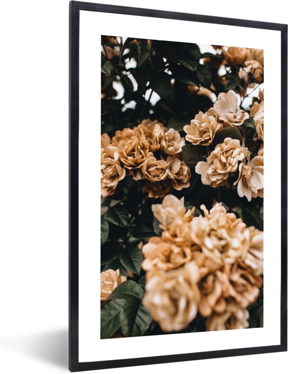 FrameYourWall Fotolijst met poster 20x30 - Bloemen - Rozen - Beige - Planten - Herfst - Fotokader van hout - Kaders en lijsten - Houten fotolijstje - Wissellijst voor muurposter - Picture en photo frame - Posterlijst - Fotohouder Bloemen - 20x30 cm