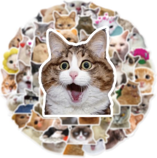 Katten Stickers - 50 stuks - 5x6CM - Grappige Cat Memes stickers - Internet poezen/dieren vinyl stickers voor kinderen en volwassenen