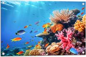 Tuinposter – Felkleurige Koraal Omringd door Tropische Vissen op Zeebodem - 75x50 cm Foto op Tuinposter (wanddecoratie voor buiten en binnen)