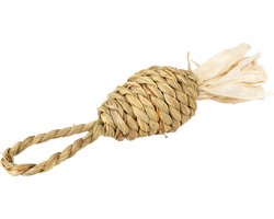 Duvoplus - Speelgoed Voor Dieren - Knaagdier - Waterhyacint Hanger & Maïsbladeren 20x4x4cm Meerkleurig - 1st