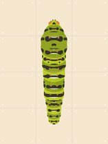 IXXI The Queen Page Caterpillar - Wanddecoratie - Dieren en insecten - 60 x 80 cm