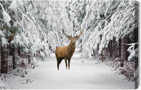 Painting King - Tableau sur toile Cerf dans la forêt d'hiver - 90 x 60 cm